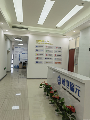 武汉盛世福元信息咨询