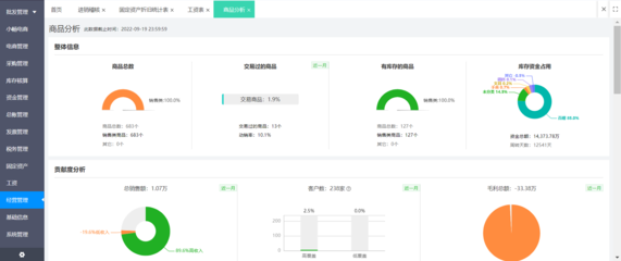 erp四大咨询公司