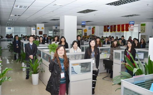 深圳金桔在线信息咨询服务介绍