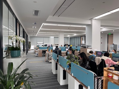 成都辰坚信息咨询在化妆品行业中的服务与应用